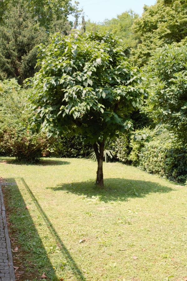 Appartamento Le Magnolie Mestre Eksteriør billede